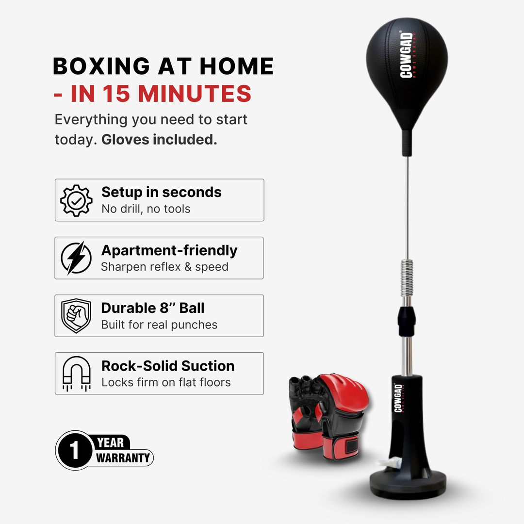 Sports  Boxing Pro