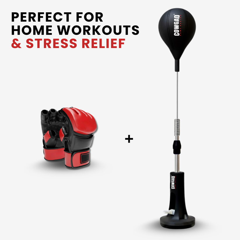 Sports  Boxing Pro
