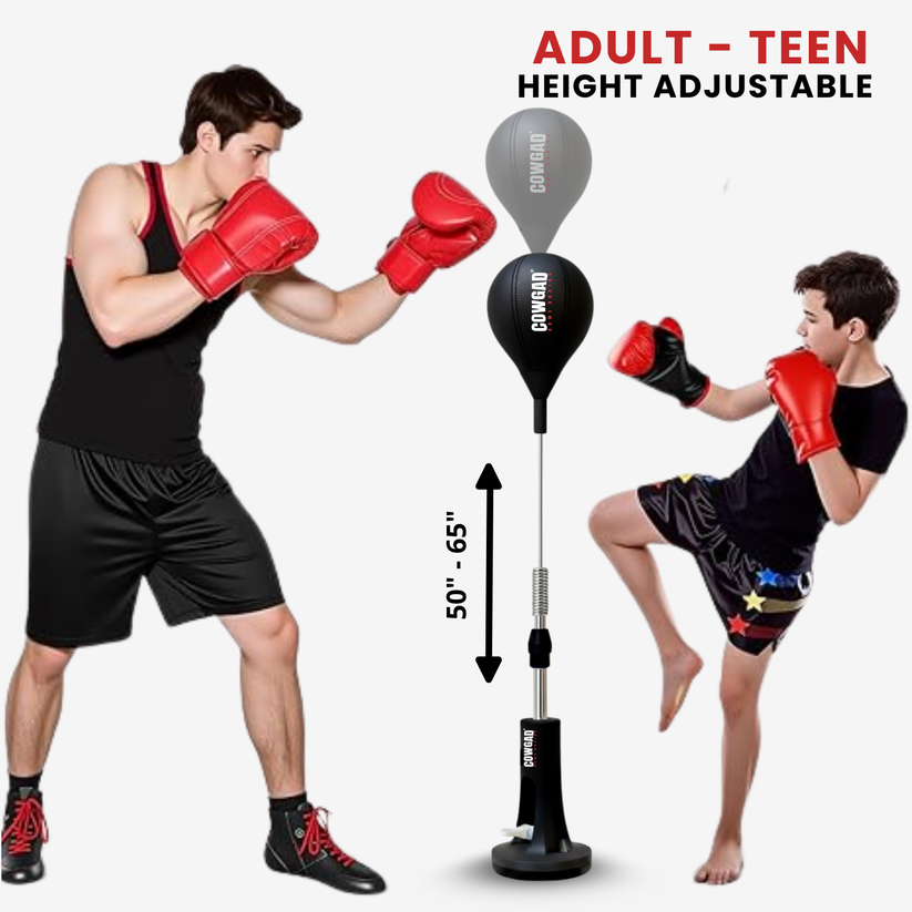 Sports  Boxing Pro